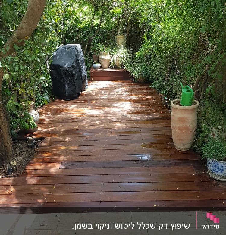 דק עץ בגינה עם עציצים ומזלף ירוק